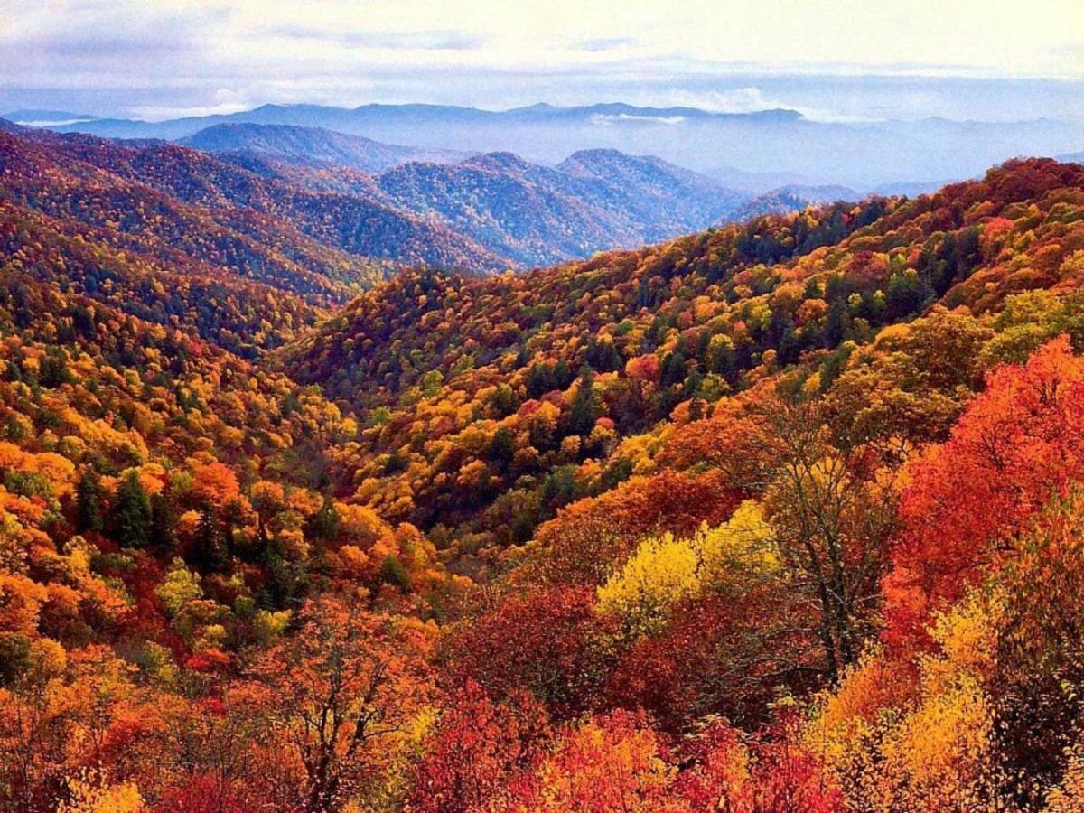 Wow Views!!-Mountain Escape-Outdoor Pool-Close To Downtown-Wifi-Cable-Private Balcony Gatlinburg Exteriör bild